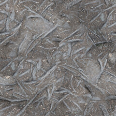 Natural Floor Texture