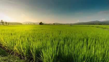 Close-Up of a Landscape with Green Fields