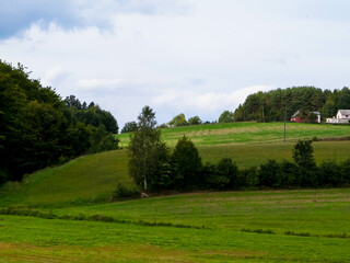 Fototapeta premium Green hills and forest - landscape of Kashubian Region, Poland.