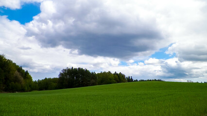 Obraz premium Green fields in Kashubia region - Northern Poland.