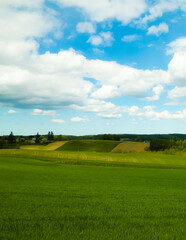 Green fields in Kashubia region - Northern Poland.