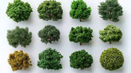 Top view illustration shows various tree, shrub designs. Diverse foliage options for outdoor spaces. Ideal for floor plans, landscape design. Detailed entourage design for architectural