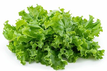 escarole and endive against a white backdrop