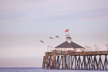 Birds flying over Imperial Beach Pier 2025