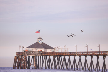 Birds flying over Imperial Beach Pier 2025