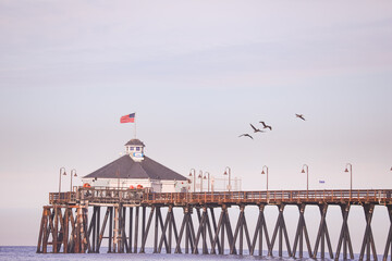 Birds flying over Imperial Beach Pier 2025