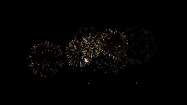 Fireworks Animation on Black Screen Footage Video 4K