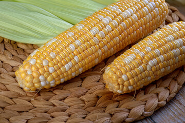 Peeled corn on cob. Two-colored corn, milk stage. Variety of corn with two-color grains