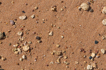 The coastline of the Red Sea. Sand, pebbles, corals, fossils. Background with a marine theme.