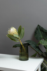 Protea flower closeup the floral studio. Making protea bouquet for the delivery. Preparation flowers for making composition.