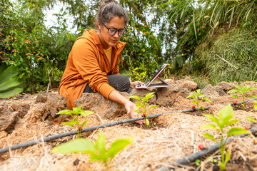 Woman Using Technology to Inspect Drip-Irrigated Plants