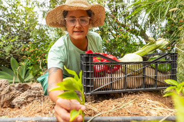 Gardener Uses Technology for Efficient Vegetable Cultivation
