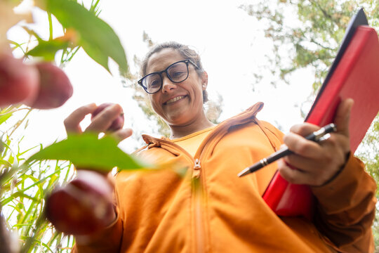 Gardener Utilizing Technology in a Modern Vegetable Garden