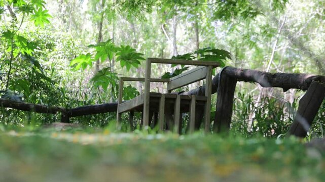 asiento en el Bosque