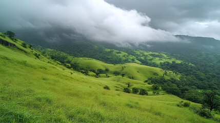 Fototapeta premium Picturesque green valley landscape with rolling grass hills, beautiful mountain scenery under cloudy sky, idyllic rural countryside, field nature environment panorama, sunlit meadows and forests.