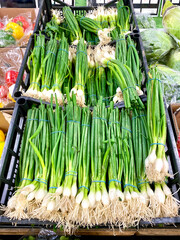Bundles of Spring Onions or Scallions ready for sale at a market
