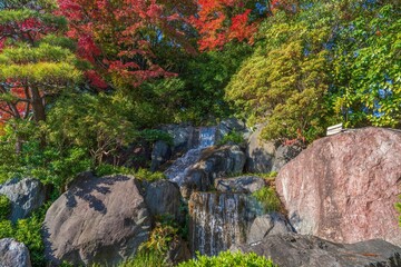 カラフルなモミジの紅葉と滝のコラボ情景