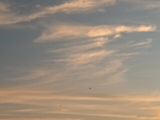 Sky