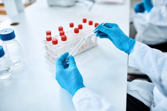 Hands, ppe and sample in science laboratory with gloves for testing, forensic and analysis in study. Person, scientist and swab for microbiology, biotech and results as virus in pandemic or outbreak