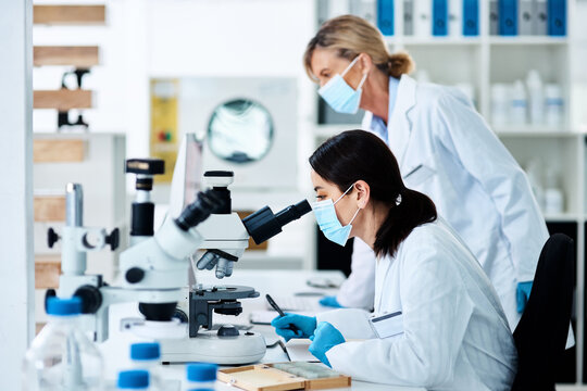 Women, scientist and microscope for medical research, innovation or analysis in science lab. Female people, technology and pathology in pharmaceutical, chemistry or biology for vaccine, career or phd