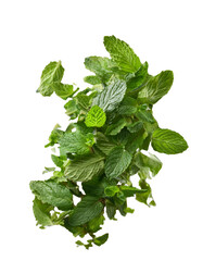 Falling chopped mint isolated on white background with full depth of field highlighting fresh and cooling tones and natural appeal always.