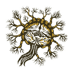 An illustration of nervous tissue in vintage style