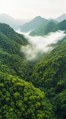 Serene aerial view of lush green mountains shrouded in misty fog