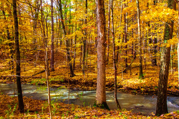 Shale Hollow Park in Autumn, Lewis Center, Ohio