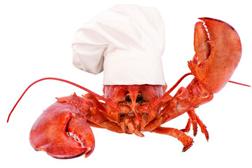 A lobster wearing white hat of chef combines humor with the unexpected. The lobster, usually seen as food, is dressed as a chef, adding a playful twist to its typical role.