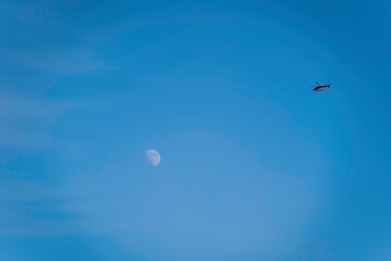 月とヘリコプター