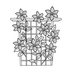 A doodle style icon of clematis vines © creativestall