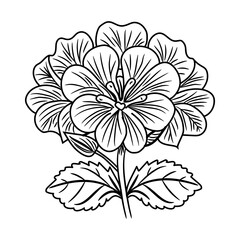 A hand drawn icon of geranium flower