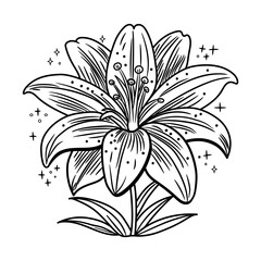 A hand drawn icon of lily flower