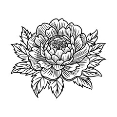 A sketchy style icon of sunflower head