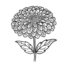 A hand drawn icon of zinnia flower
