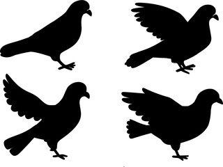 silhouette of a dove brid side view vector illustration