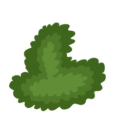 Tree top view vector