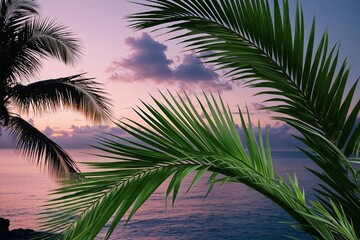 Tropical Serenity Palm Leaf Visuals Capturing Dusk Moments