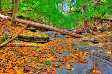 Indian Village Canyon in Fall, Columbus, Ohio