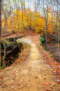 Rockbridge State Nature Preserve in Autumn, Ohio