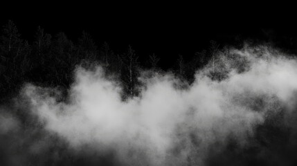 Fototapeta premium A thick blanket of mist rolls over a dark forest, obscuring the trees in an eerie, mysterious atmosphere. The monochrome scene evokes feelings of quiet, solitude, and nature. AI Generation