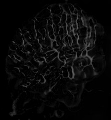 Bubbles, foam, waves, texture, pattern, black and white, shape, cool, vector, overlay, cake, beer, beverage, graphic, material, atmosphere, festival, event, graphic design, alien.