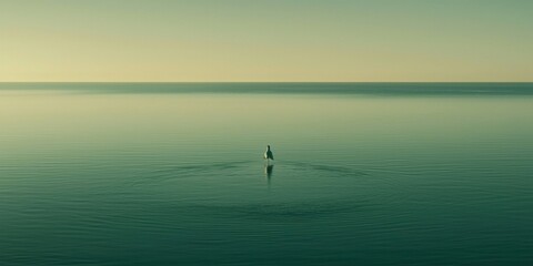 Fototapeta premium Serene Seascape Solitary Seagull on Calm Ocean Water