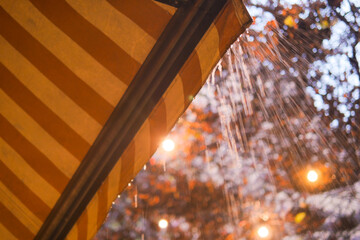 A Rainy Night in the City Filled with Lanterns and a Beautiful Orange Canopy Above
