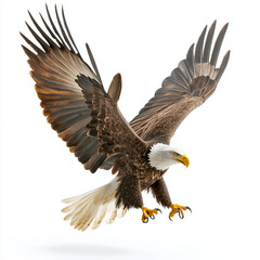 Obraz premium majestic American bald eagle soaring gracefully with outstretched wings