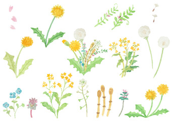 水彩絵の具で描いた春の野原のお花セット