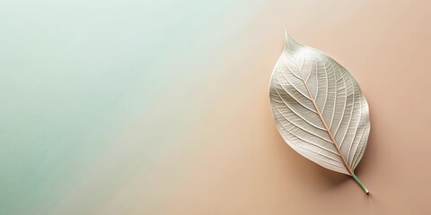 Elegant silver leaf on a soft pastel background