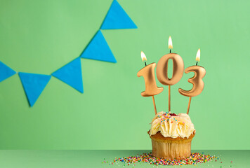 Birthday cupcake with number 103 candle - Green background with blue pennants.