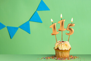 Birthday cupcake with number 115 candle - Green background with blue pennants.