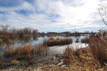 Winter front range swamp and cloudy sky, Colorado